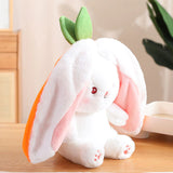 Cute and Cuddly Bunny Soft Toy